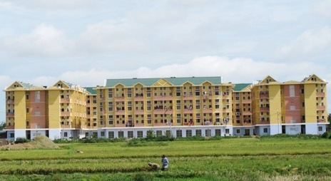 Kiến[-]ba[-]khoang[-](